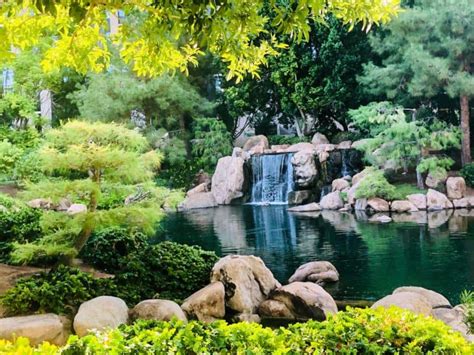 phoenix fun city|24 Best Things to Do in Phoenix (from a Local!) .